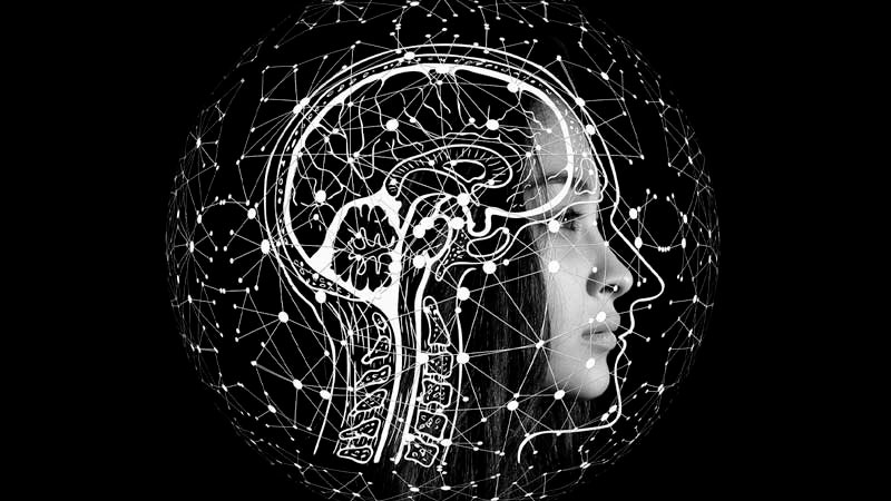 TENER INTELIGENCIA NO ES LO MISMO QUE SER INTELIGENTE