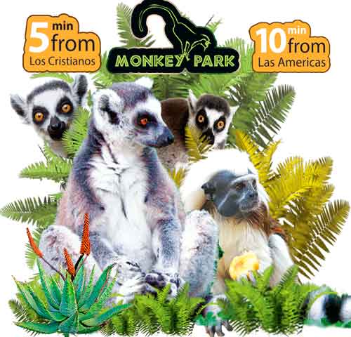 monkey park tenerife