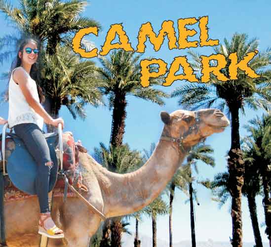tenerife camel park