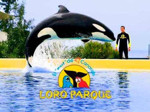 loro parque